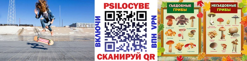 Галлюциногенные грибы Magic Shrooms  ссылка на мегу маркетплейс  Ивангород  купить наркоту 